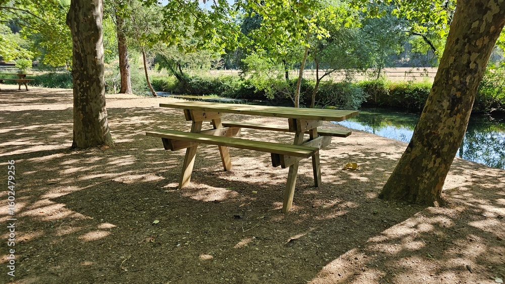 Wooden Picnic Table in Forest by a Calm River in Summer Light Wooden Picnic Table in Forest by a Calm River in Summer Light