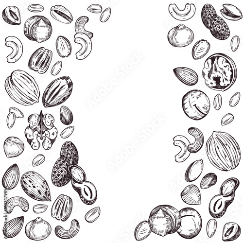 Vector frame of nuts, walnuts, cashews, pecans, macadamias, hazelnuts, peanuts, whole nuts and nut halves. All objects are hand-drawn with ink. For printing on packaging, fabric, tableware. Vector 