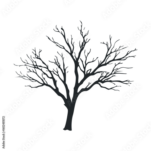 Silhouette of a leafless tree with branching limbs on white background