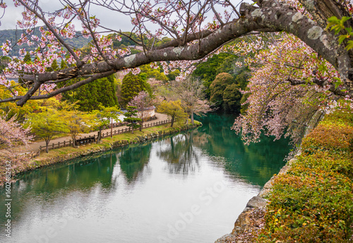 Spring at Himeji, Japan, South East Asia