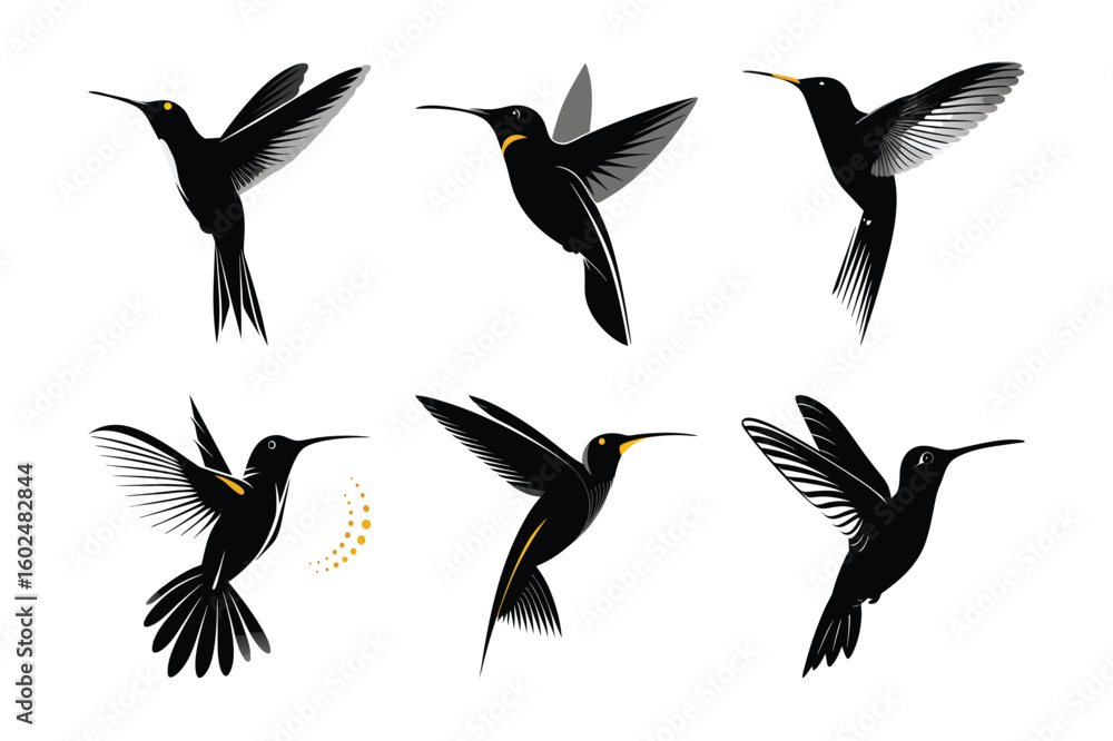 Obraz premium collection of birds of vector