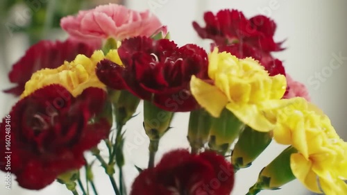 Wallpaper Mural Close-up bouquet of colorful carnations Torontodigital.ca
