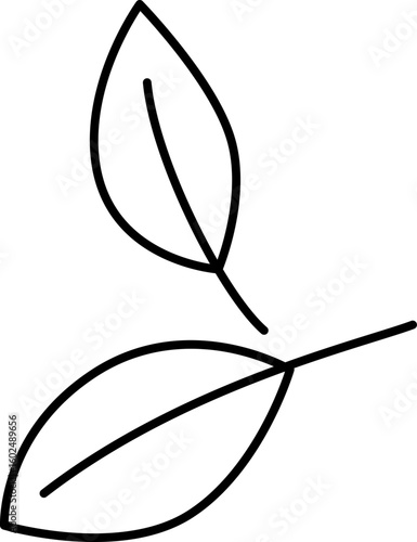 Leaves Line