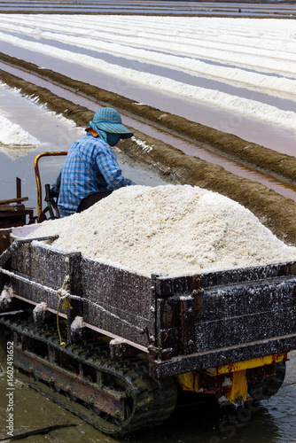 Pyramids of sea salt ready to be harvested in a salt farm at sunrise. Used as a seasoning in food, cosmetics and for food preservation.