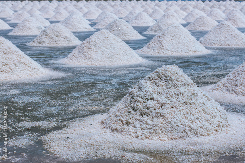 Pyramids of sea salt ready to be harvested in a salt farm at sunrise. Used as a seasoning in food, cosmetics and for food preservation.