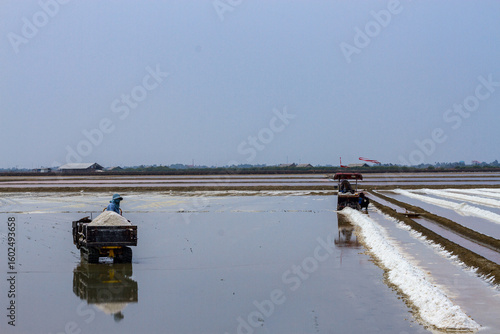 Pyramids of sea salt ready to be harvested in a salt farm at sunrise. Used as a seasoning in food, cosmetics and for food preservation.