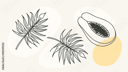 Stylized illustration of a papaya and tropical leaves in a minimalist design.