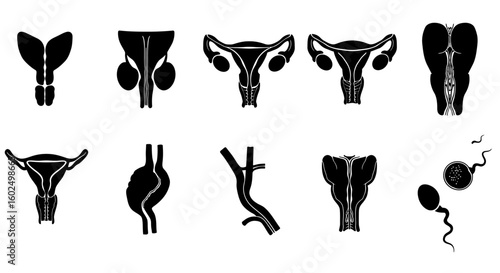 Set of Ballet Dancer Silhouettes in Artistic Vector Illustration