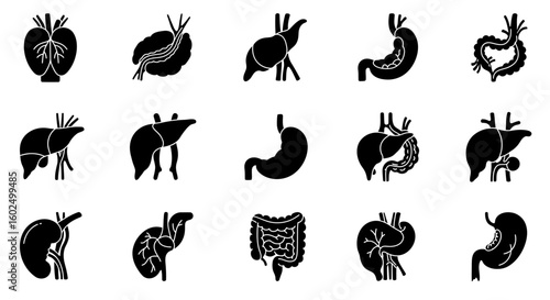 A collection of black silhouette icons representing various human internal organs, including the heart, liver, stomach, and intestines.