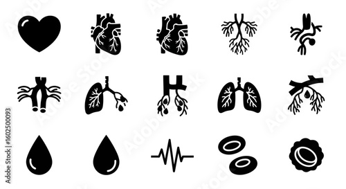 Collection of black and white anatomical icons, including heart, lungs, blood vessels, and blood cells.