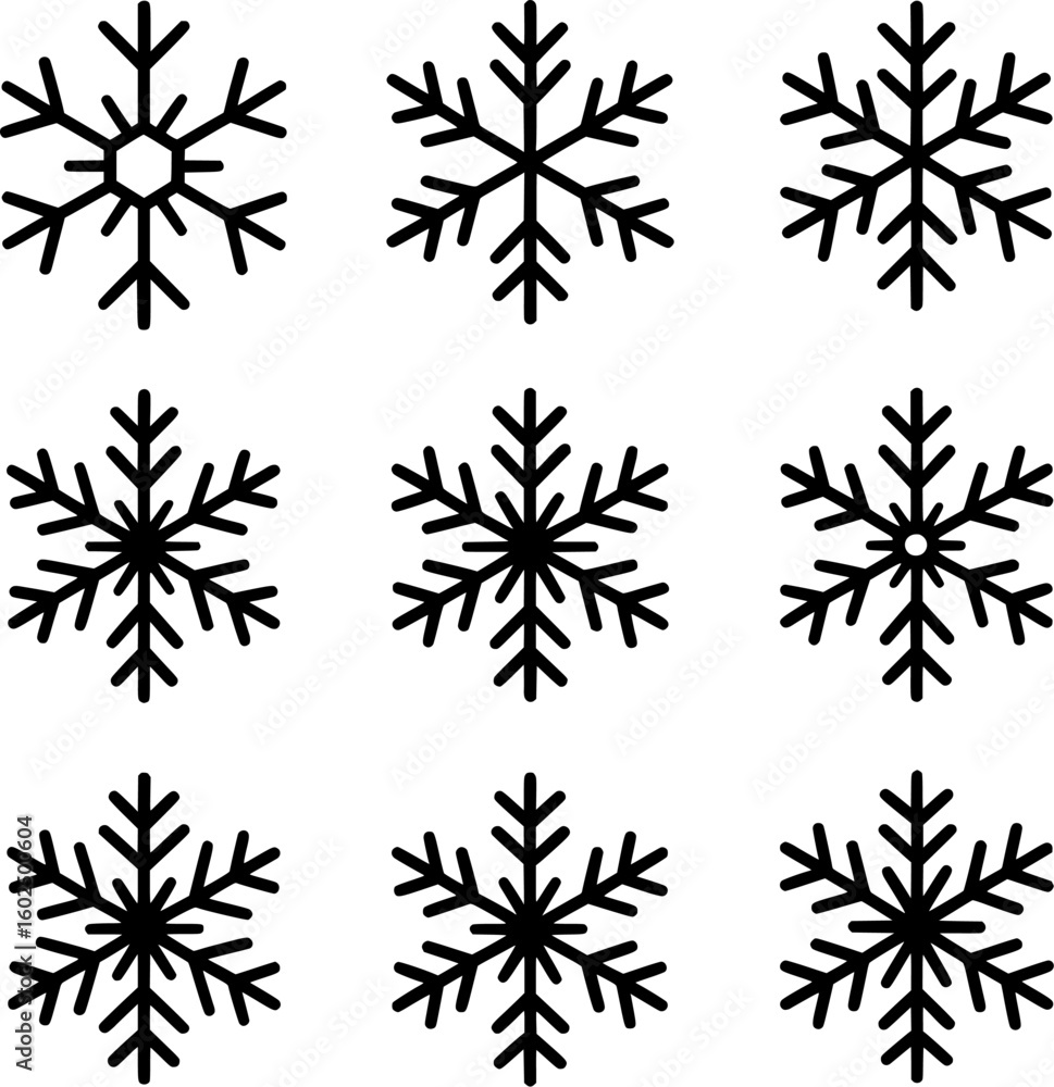 Obraz premium Black and White Snowflake Vector Icons Collection