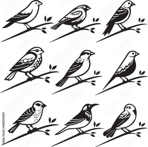 Wallpaper Mural Flying Birds Silhouette Vector Set – Black and White Bird Illustration for Design and Decoration Torontodigital.ca