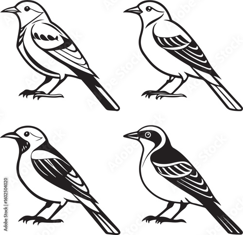 Wallpaper Mural Flying Birds Silhouette Vector Set – Black and White Bird Illustration for Design and Decoration Torontodigital.ca