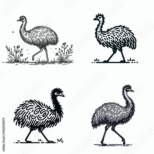 A Emu. Funny Happy Retro Cartoon Clipart Silhouette Line Art Vector Illustration. Australian bird large flightless avian common ratite wildlife creature.