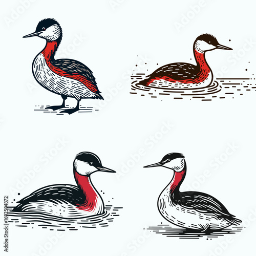 A Red necked grebe. Funny Happy Retro Cartoon Clipart Silhouette Line Art Vector Illustration. Aquatic bird having crimson throat sight this plump water fowl.