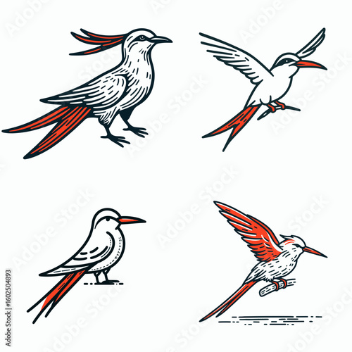 A Red tailed tropicbird. Funny Happy Retro Cartoon Clipart Silhouette Line Art Vector Illustration. Tropic bird with crimson tail viewing seabird behavior at tropical location.