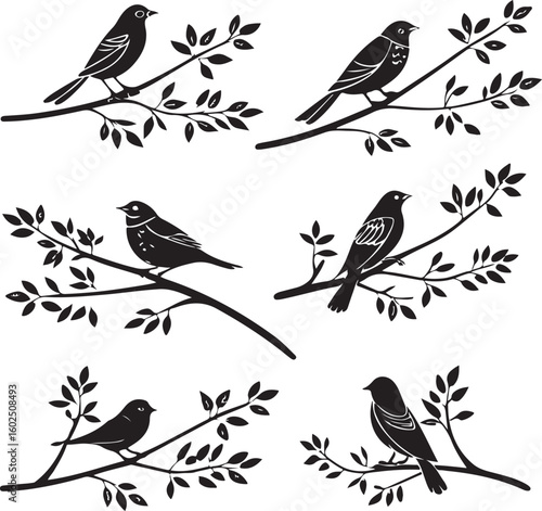 Wallpaper Mural Flying Birds Silhouette Vector Set – Black and White Bird Illustration for Design and Decoration Torontodigital.ca