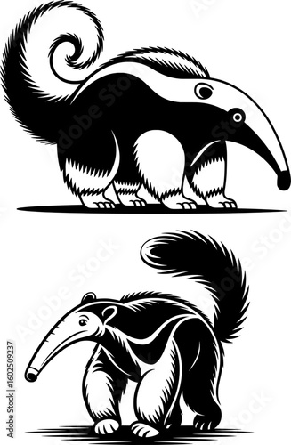 Black and white mascot-style giant anteater vector with long snout and curved bushy tail, bold clean lines, flat minimal style, standing on all fours over white background