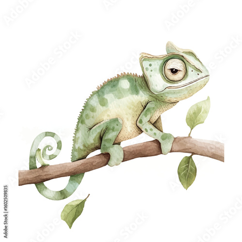 a cute animal of chameleon on a branch