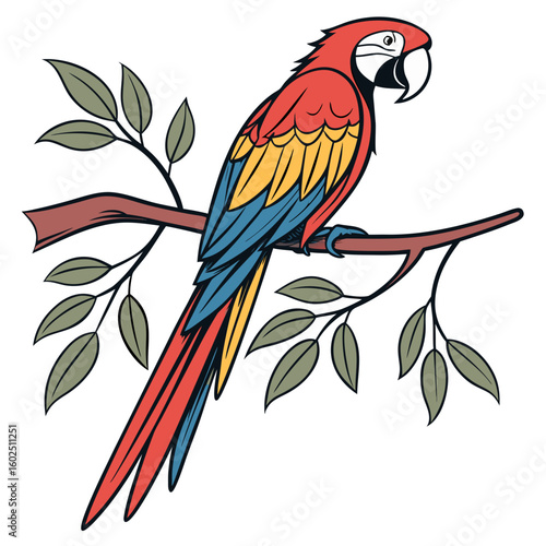 Colorful Stylized Parrot Vector – Tropical Bird Isolated Illustration

