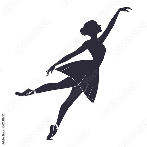 Graceful Ballerina Silhouette in Elegant Ballet Pose on Tiptoe
