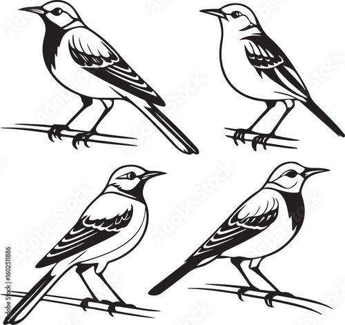 Wallpaper Mural Flying Birds Silhouette Vector Set – Black and White Bird Illustration for Design and Decoration Torontodigital.ca