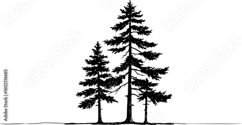 a black and white drawing of three pine trees, minimalist drawing, vector graphics, white background

