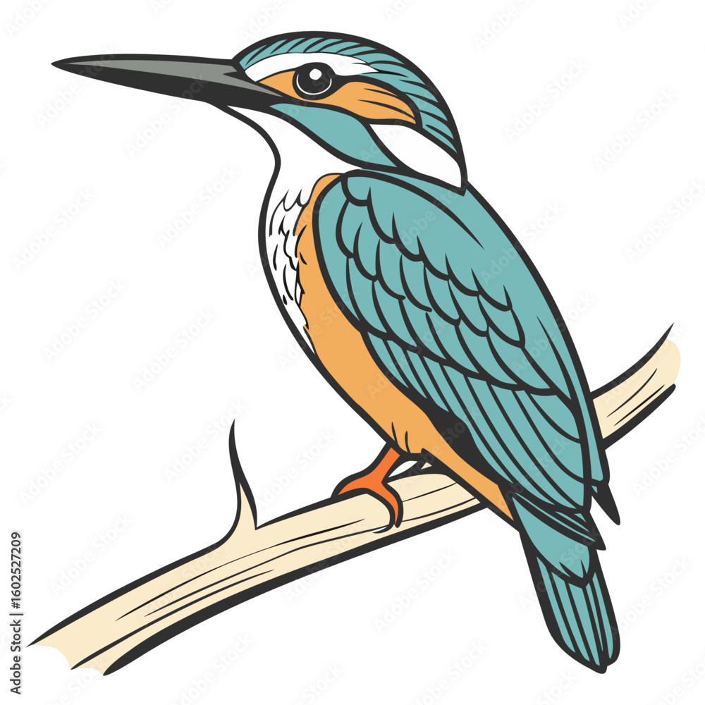 Fototapeta premium Stylized Kingfisher Vector Illustration – Vibrant Isolated Bird Design