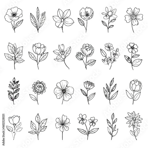 Collection of Delicate Hand-Drawn Floral Illustrations and Botanical Sprigs