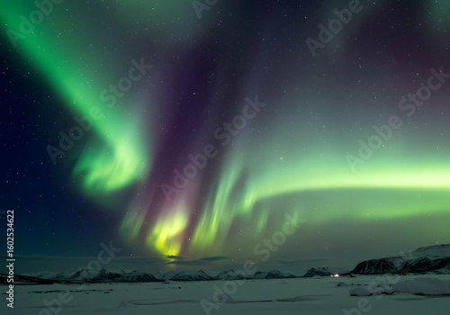 Aurora borealis over snowy landscape