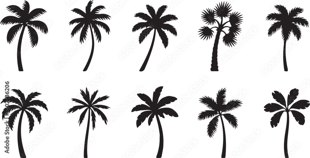 Fototapeta premium palm silhouettes