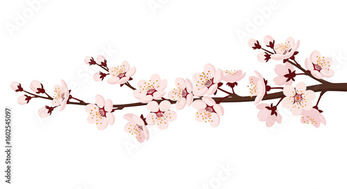 Delicate blossoming branch of fruit tree, a symbol of spring and floral elegance with pristine petals and botanical beauty presented against a