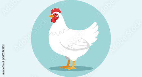 Clean and Cute White Chicken Illustration with Rounded Blue Backdrop design element showcasing poultry farming through modern graphic style and