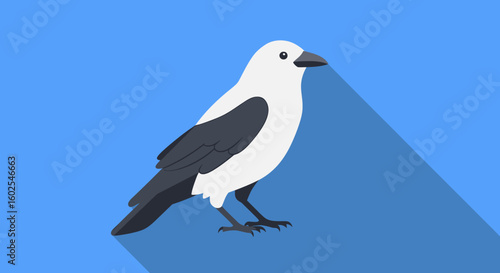 Isolated digital artwork depicting a black and white bird, crow, standing on a blue background with a flat design aesthetic for decorative or