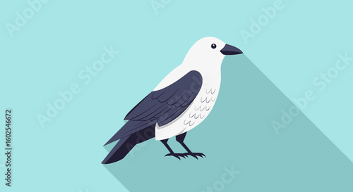 Stylized avian illustration featuring a white-bodied bird with contrasting dark plumage against a turquoise background