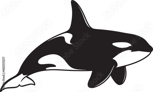 Black and White Orca Killer Whale Cartoon silhouette Vector Illustration, Side View of Marine Mammal Aquatic Wildlife Graphic for Ocean Themed Design