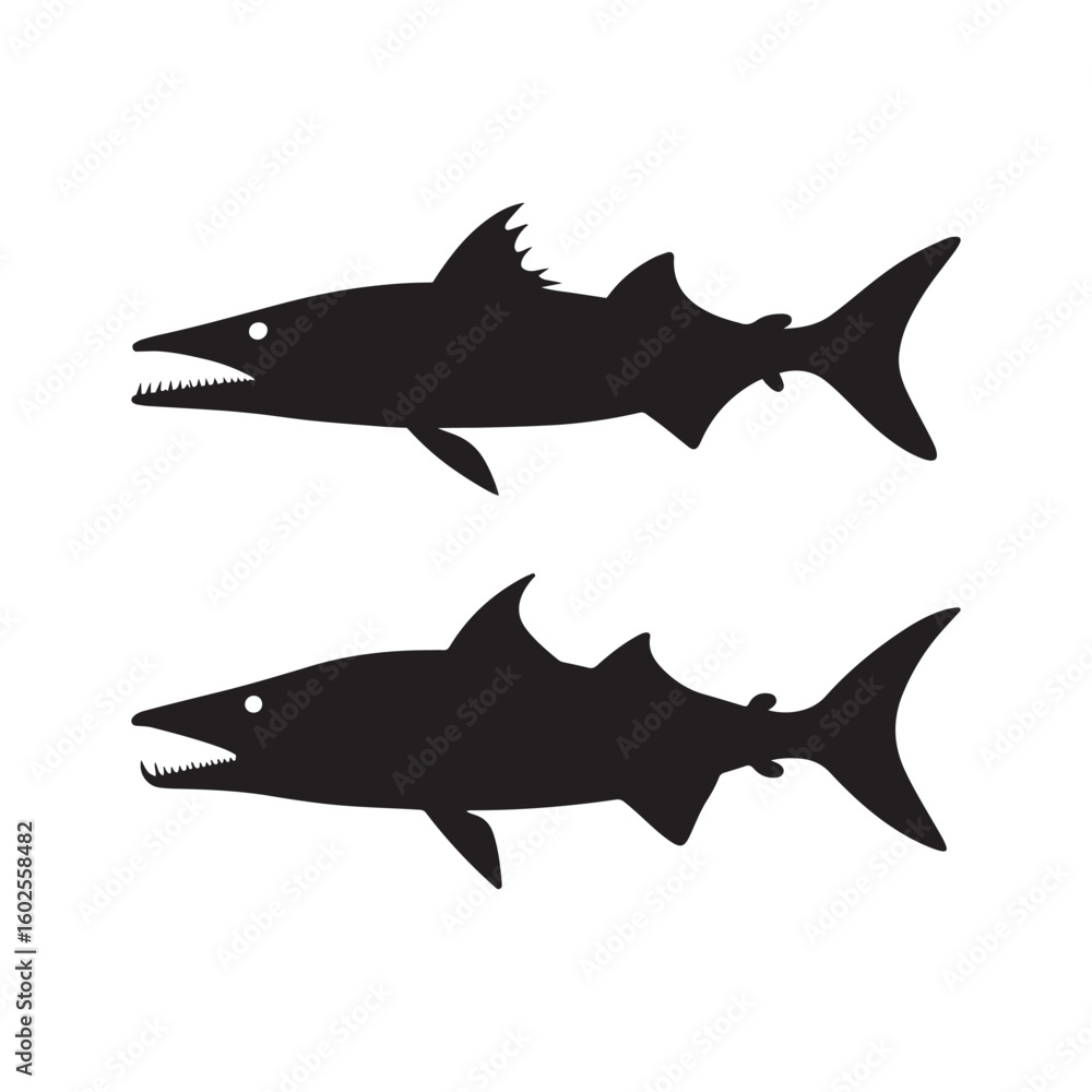 Obraz premium Barracuda Fish Silhouette with Open Jaws and Sharp Teeth