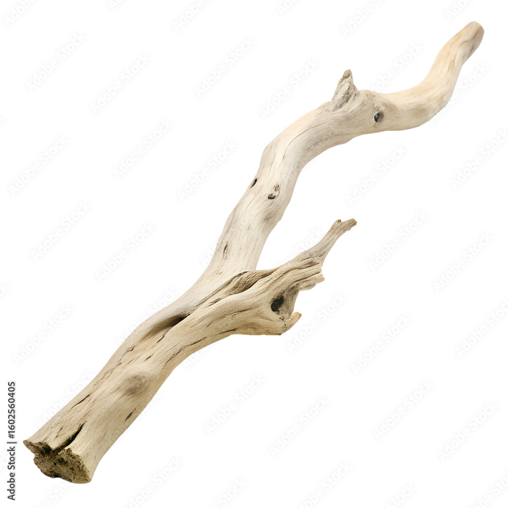 Fototapeta premium Weathered driftwood branch isolated on transparent background