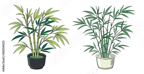 Two potted bamboo plants in different colored pots vector illustration
