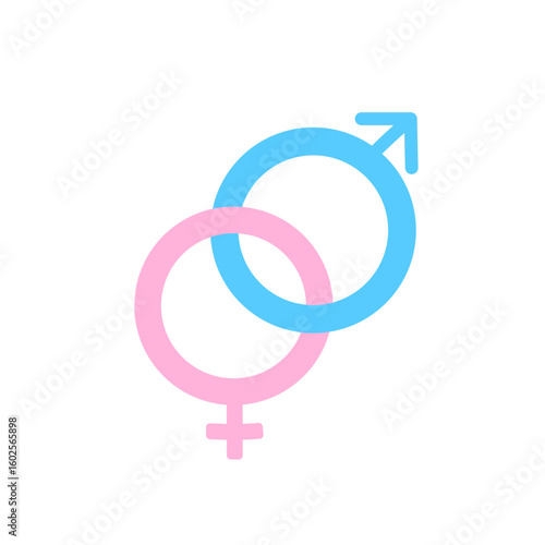Cartoon vector illustration of male and female gender symbols in blue and pink colors. Drawing for gender identity concepts, education, healthcare and equality campaigns