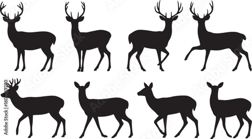 roe deer silhouettes
