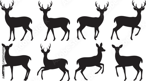 roe deer silhouettes