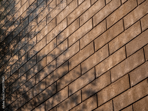 Shadows of trees cast on a large brick wall