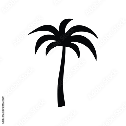 palm tree silhouette
