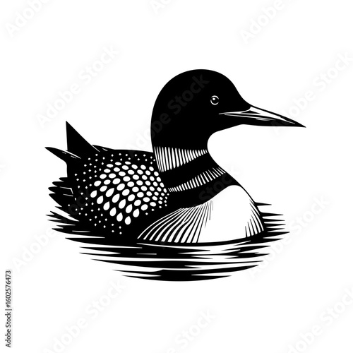 A striking black and white illustration of a loon swimming on the water