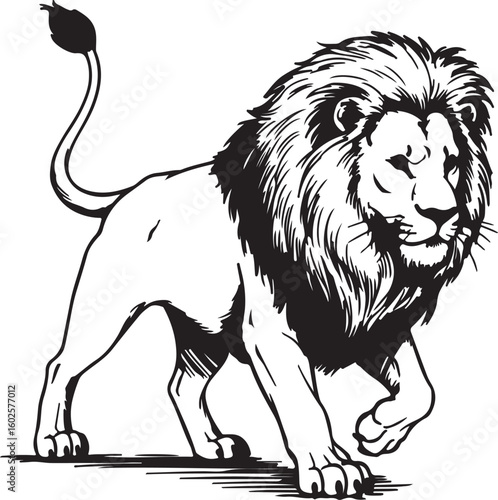 Wallpaper Mural Walking lion with long curved tail and fluffy mane, outlined in clean black ink, hand-drawn illustration style. Torontodigital.ca