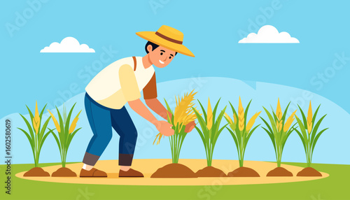 Happy young farmer character in a straw hat harvesting ripe rice by hand.