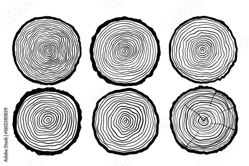 Tree ring vector icon, black illustrations set, wood slice with pattern