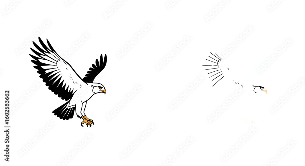 Fototapeta premium A stylized illustration of a soaring eagle, alongside a simplified, outlined version of the same bird.