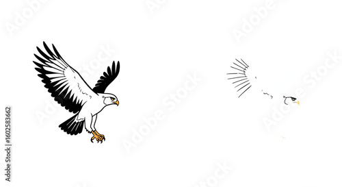 A stylized illustration of a soaring eagle, alongside a simplified, outlined version of the same bird.